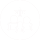FAMILY LAW
